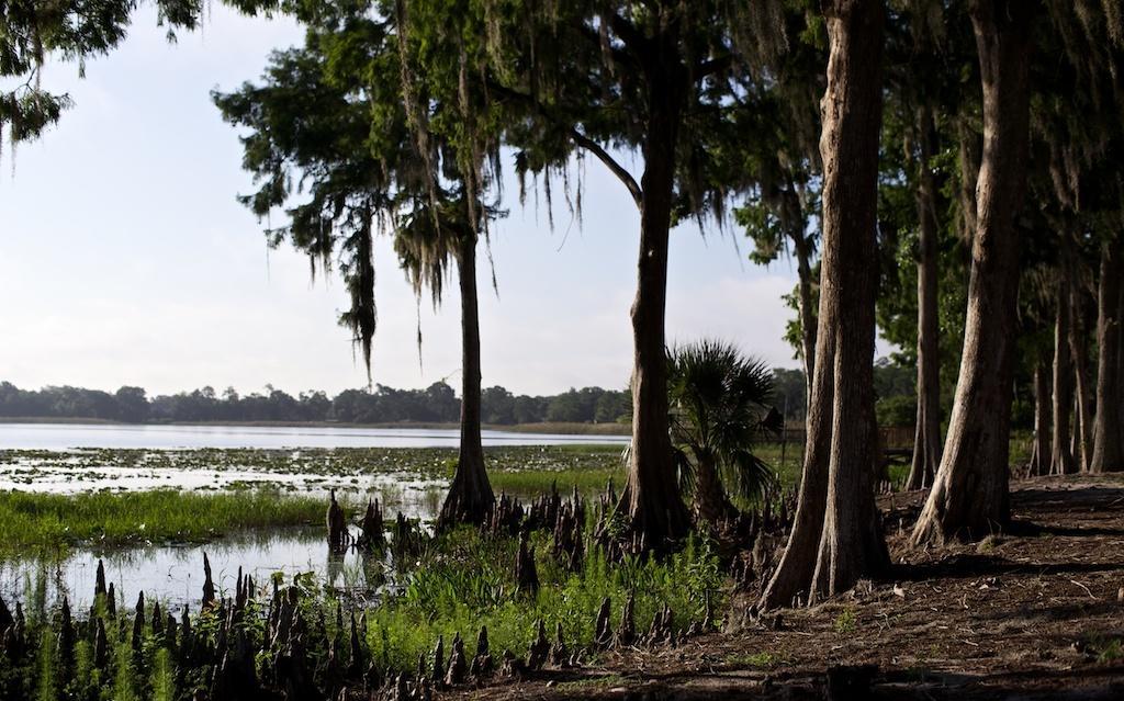 Star Island Resort And Club - Near Disney Kissimmee Kültér fotó